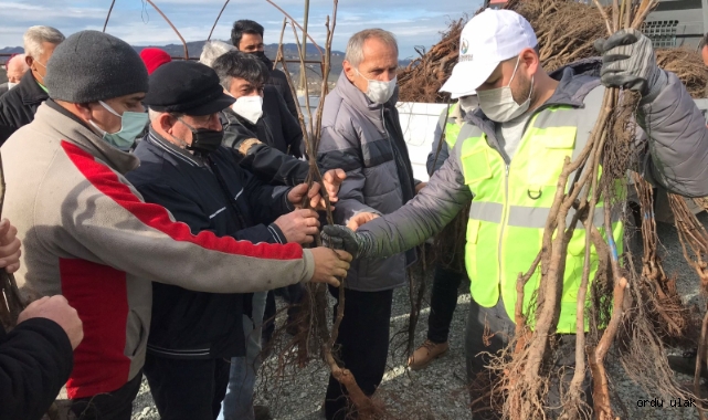 Altınordu Belediyesi'nden yeşil kalkınma seferberliği