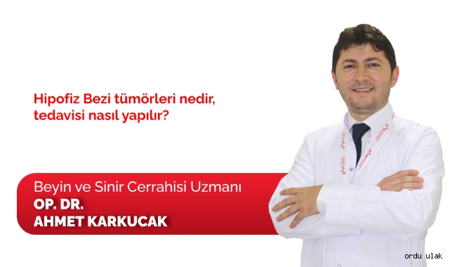 Hipofiz Bezi tümörleri nedir, tedavisi nasıl yapılır?
