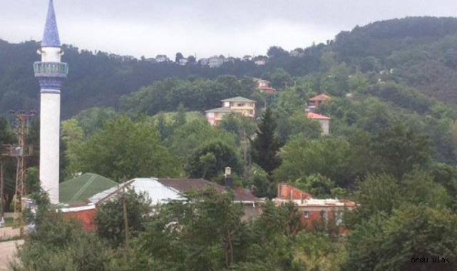 Hırsızlar, Ordu'da boş köy evlerine dadandı