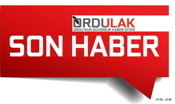 Ordu'da araç çalıp İstanbul'a giden 3 kafadar çocuk yakalandı