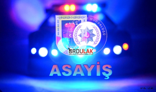 Ordu'da başlayıp İstanbul'da biten araç hırsızlığıyla ilgili açıklama yapıldı