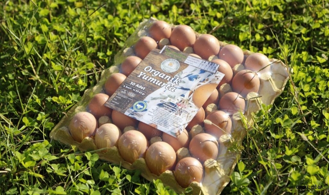 Migros’un yumurtaları Ordu’dan