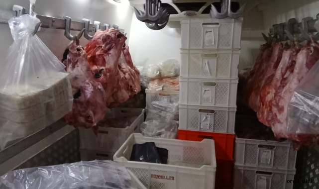 Ordu'da 2 Ton kaçak ete el konuldu
