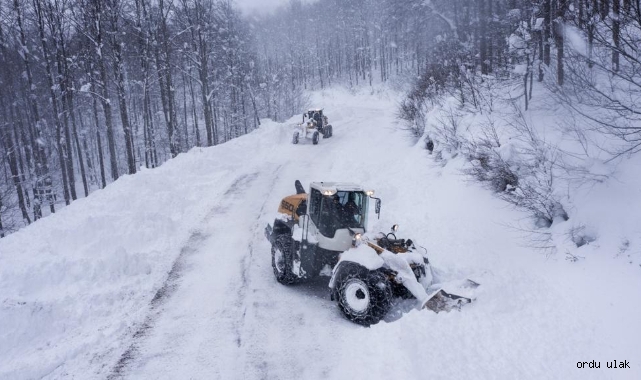 Ordu’da kar 2 metreyi aştı