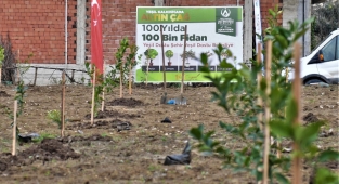 "Şehrin 100. yılında 100 bin fidan" projesinin ıı. etabına start verildi
