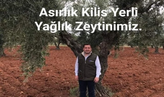 Güven Özdemir : Kilis yağlık zeytinin önemli