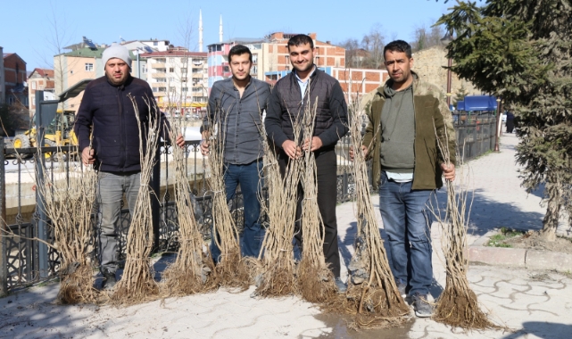 Ordu'da İpek Böcekçiliği yaygınlaşıyor