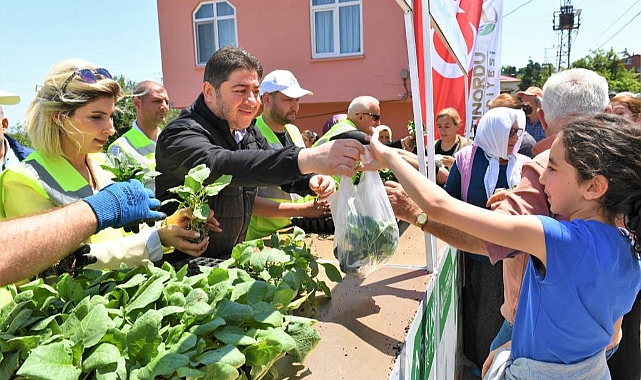 Altınordu'da çiftçiye 200 Bin fide dağıtıldı