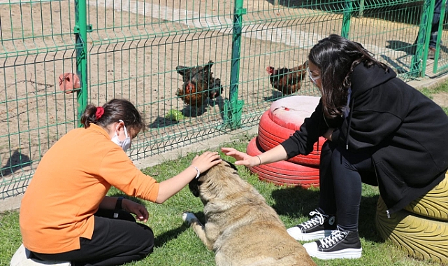 Öğrenciler can dostlarla keyifli vakit geçirdi
