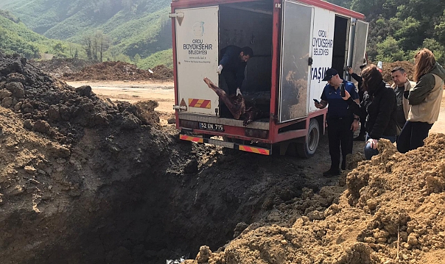 Ordu’da 2 ton kaçak ve sahte mühürlü et imha edildi