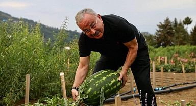 Ordu Tarımında devrim!  Kent ekonomisine 200 milyon lira kazandırıldı