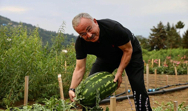 Ordu Tarımında devrim!  Kent ekonomisine 200 milyon lira kazandırıldı