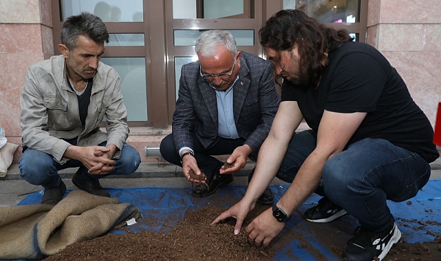 Fındık kapsülünden yem üretildi
