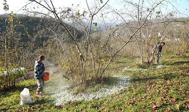 FINVER projesinde yeni hedef 1000 dönüm