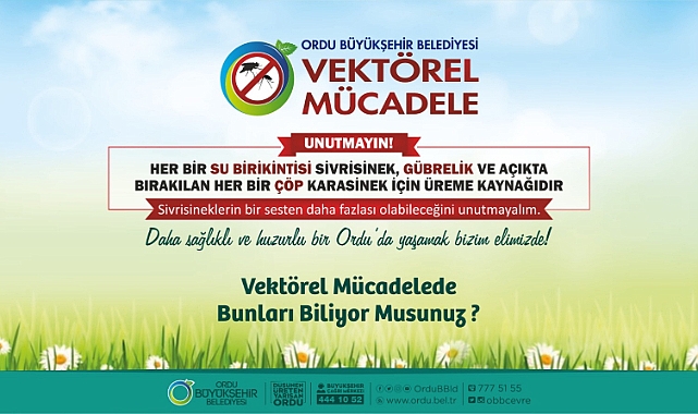 Ordu'da vektörel mücadele başladı