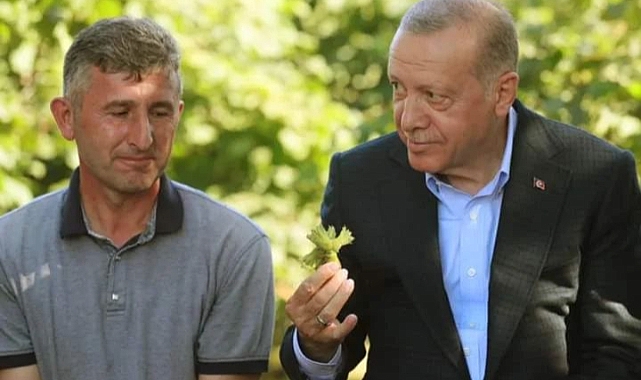 Cumhurbaşkanı Erdoğan Fındık Fiyatını Ordu'dan açıkladı: 54 TL