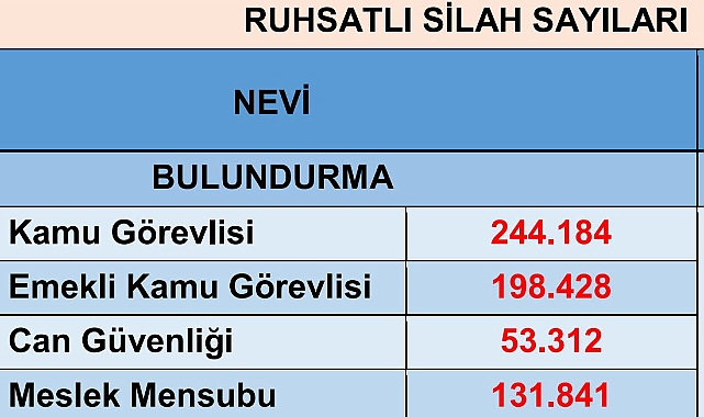 Emniyet Genel Müdürlüğü Türkiye'de ruhsatlı silah sayısını açıkladı