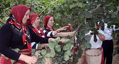 “Fındık dalda aklın işçiden kalmasın” projesine ilgi artıyor
