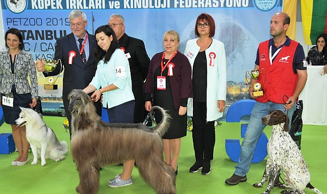 Ankara'nın tek pet fuarı Eylül'de başlıyor