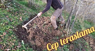 Fındık bahçesine "Cep Teras" kurmak isteyene hibe desteği verilecek
