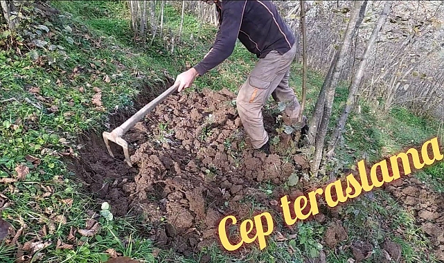Fındık bahçesine "Cep Teras" kurmak isteyene hibe desteği verilecek