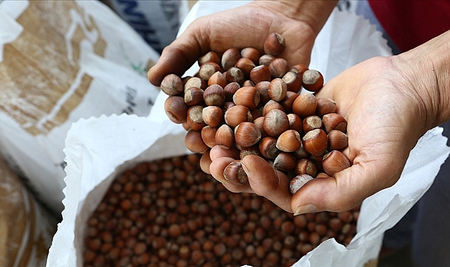 Fındıkta Beklenen Açıklama Geldi