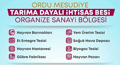 Ordu'da Besi Organize Sanayi Bölgesi kuruluyor