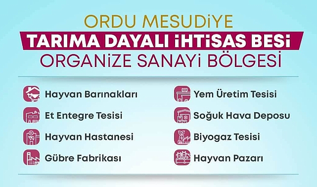 Ordu'da Besi Organize Sanayi Bölgesi kuruluyor