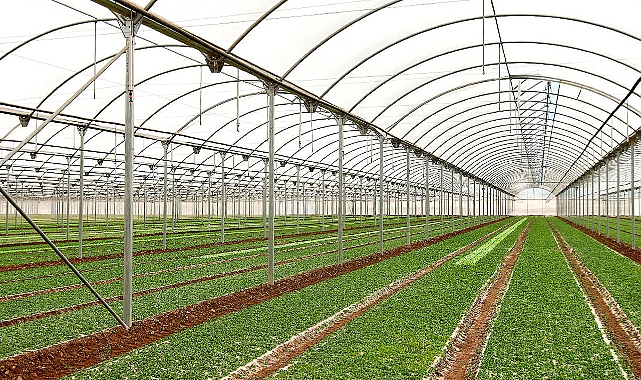 Sera kurmak isteyen üreticilere hibe desteği verilecek