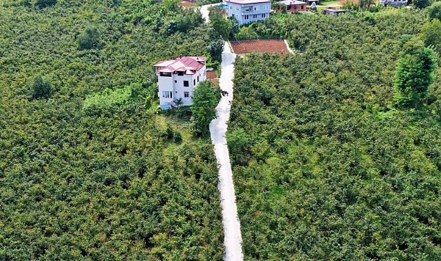 Altınordu'nun köşe bucak her yerinde