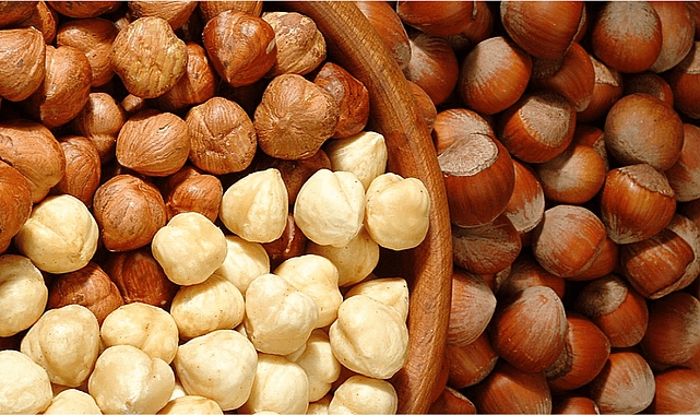 Fındık Nedir ?