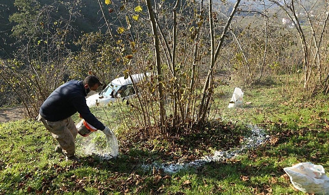 Fındık verimliliği (fınver) projesinde büyük başarı
