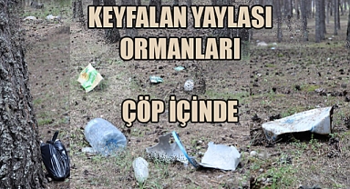 Keyfalan Yaylası'nda "çöp" keyfi