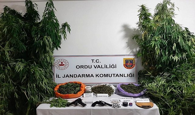 Ordu'da uyuşturucu operasyonunda 2 kişi tutuklandı