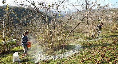 Fındık üreticisinden FINVER’e ilgi yüksek