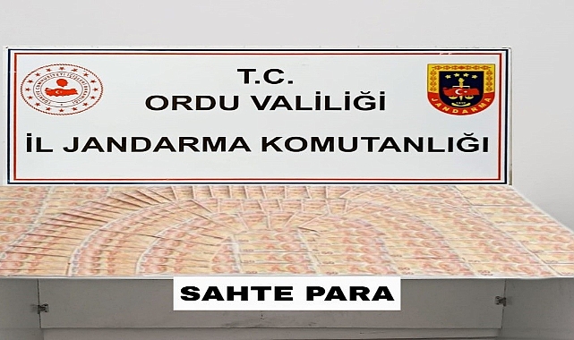 Ordu'da sahte para operasyonu