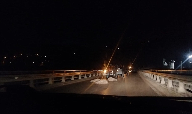 Ordu'da koyun sürüsüne otomobil çarptı
