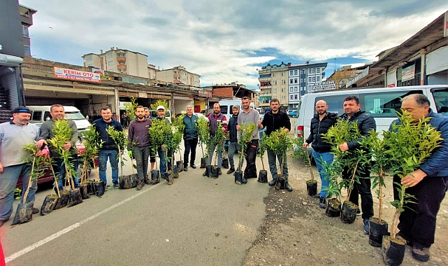Altınordu'da sanayi esnafı fidan dikti