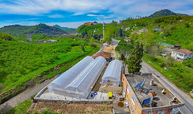 Genç Fidanlar ve Seracılık Projeleri Ünye'de sona geliyor