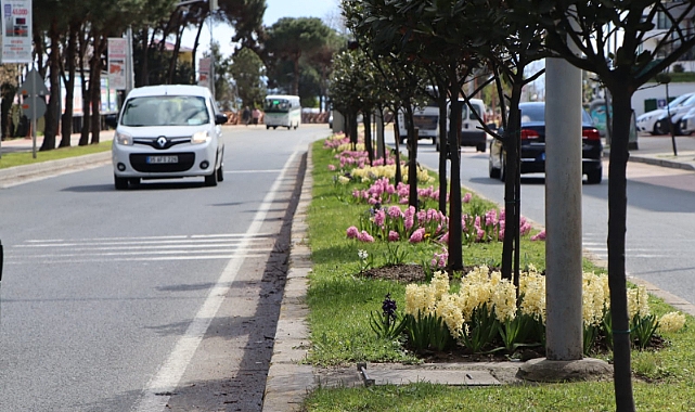Ordu rengarenk çiçeklerle süsleniyor