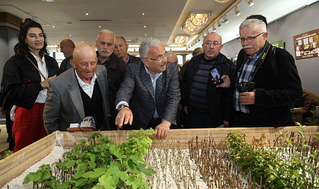 Ordu’da Meyve Üretimi seferberliği
