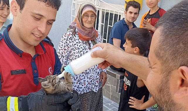 İtfaiye ekipleri yavru kedi ve baykuşlar için seferber oldu