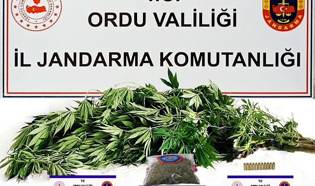 Ordu'da uyuşturucu operasyonu! 5 şüpheli yakalandı