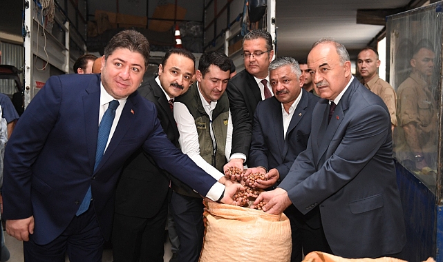 TMO Fındık alımına başladı 