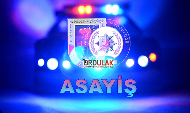 Ordu'da asayiş operasyonu! 7 kişi tutuklandı