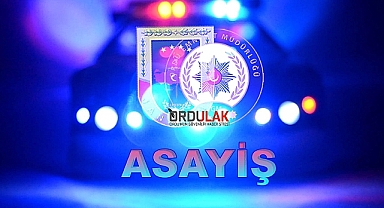 Ordu'da asayiş operasyonunda 22 kişi tutuklandı
