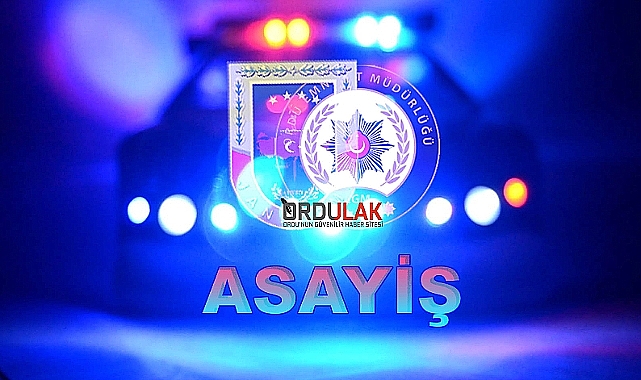 Ordu'da asayiş operasyonunda 22 kişi tutuklandı