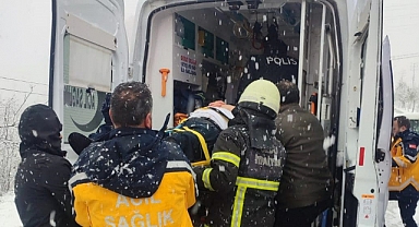 Kamyonet fındık bahçesine devrildi: İki  yaralı