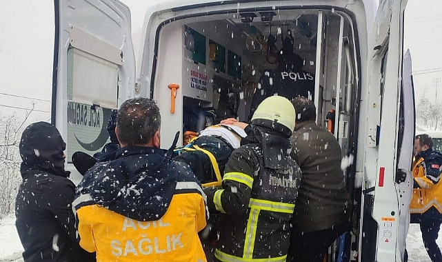 Kamyonet fındık bahçesine devrildi: İki  yaralı