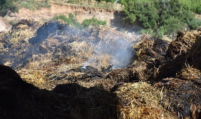 Ordu'da mandırada korkutan yangın: 100 ton saman kül oldu